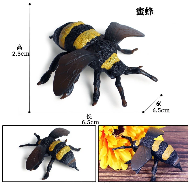Animal 8