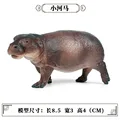 Animal 4