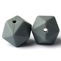 15 Dim Gray