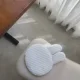 White Rabbit