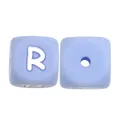 10pcs R