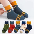 Seek Socks