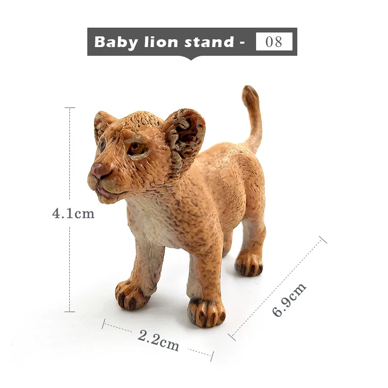 Baby lion