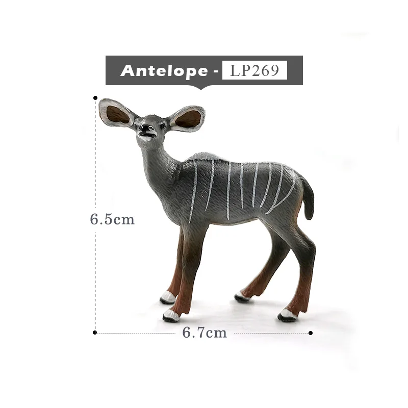 Antelope