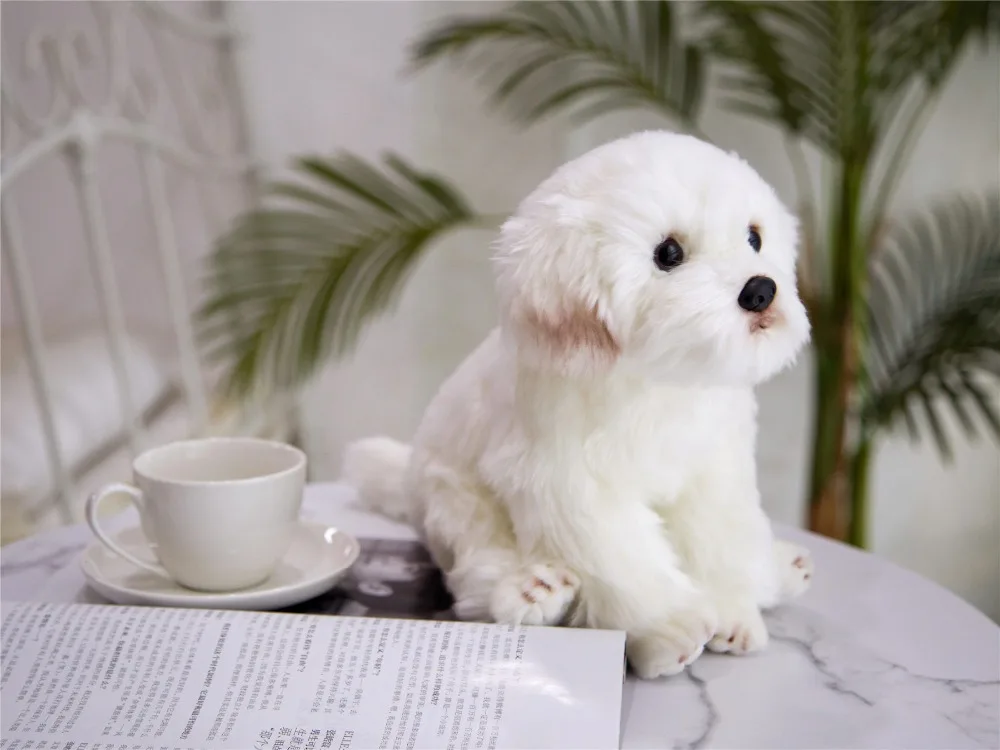 Perro maltés de peluche frontal