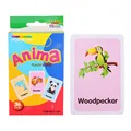 Animal 36PCS