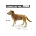 Golden Hair Dog