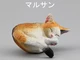 F Chinese cat
