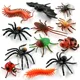 12pcs Insect