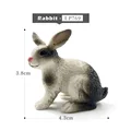 Rabbit -c