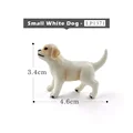 Small White Dog