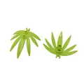 20 pcs leaf 1