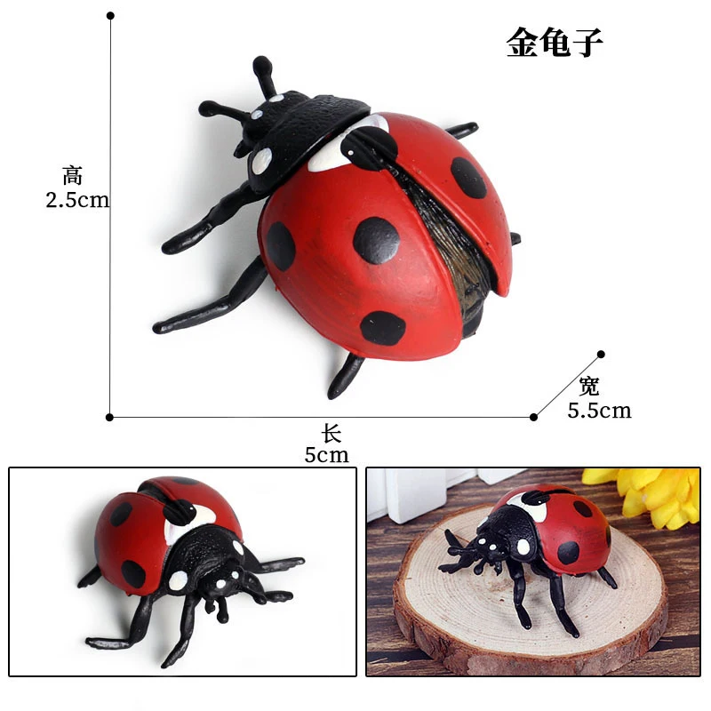 Animal 3