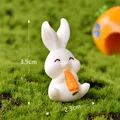 Eating Carrot Rabbit