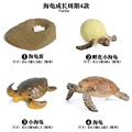 Sea turtle - 3