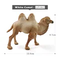 White Camel