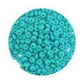 50pcs Turquoise