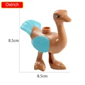 Ostrich
