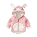 pink rabbit