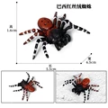 Animal 11