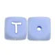 100pcs T