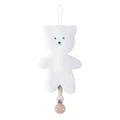 Bear-1