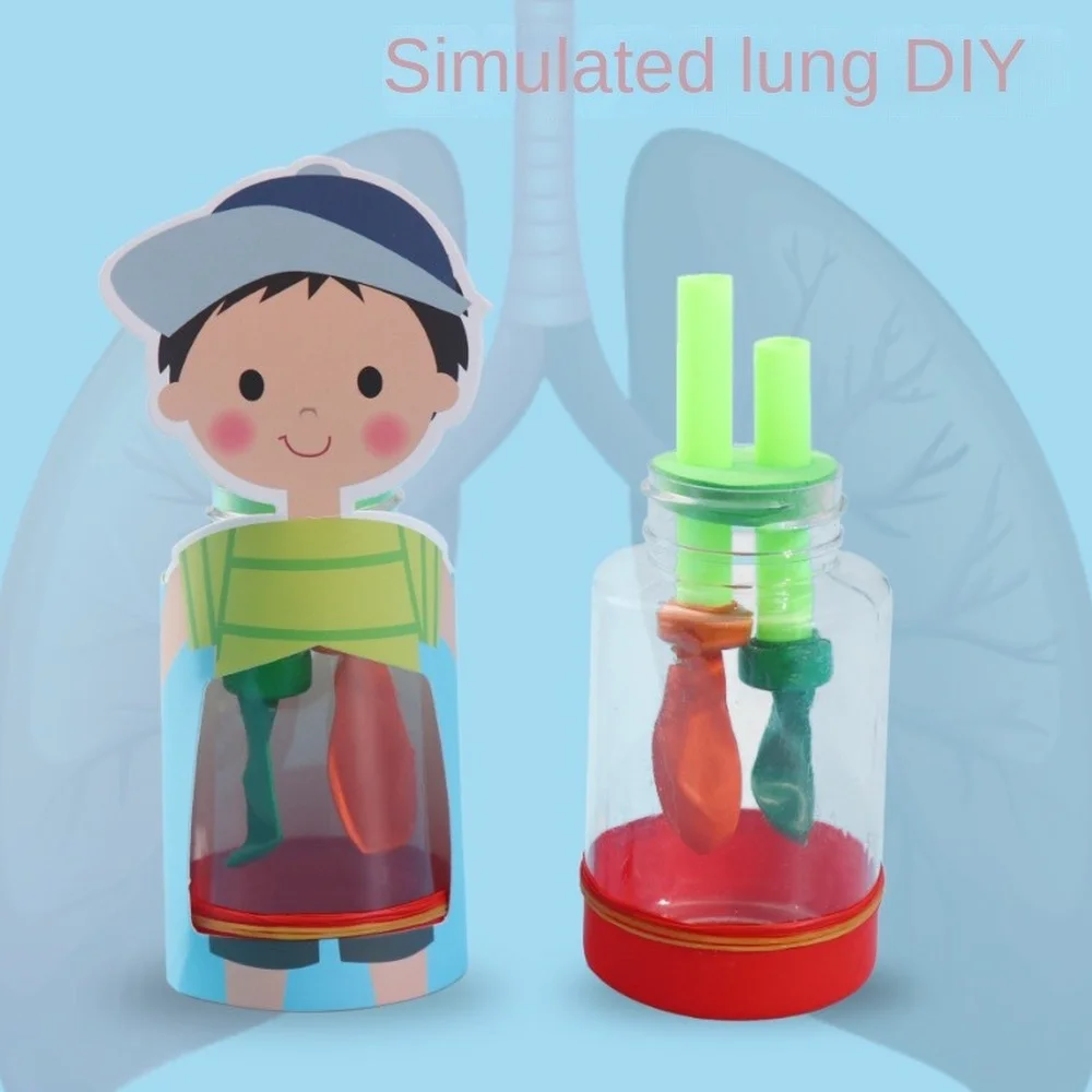 Pulmones detallados - Detalle juguetes producción