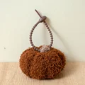 brown pumpkin AC