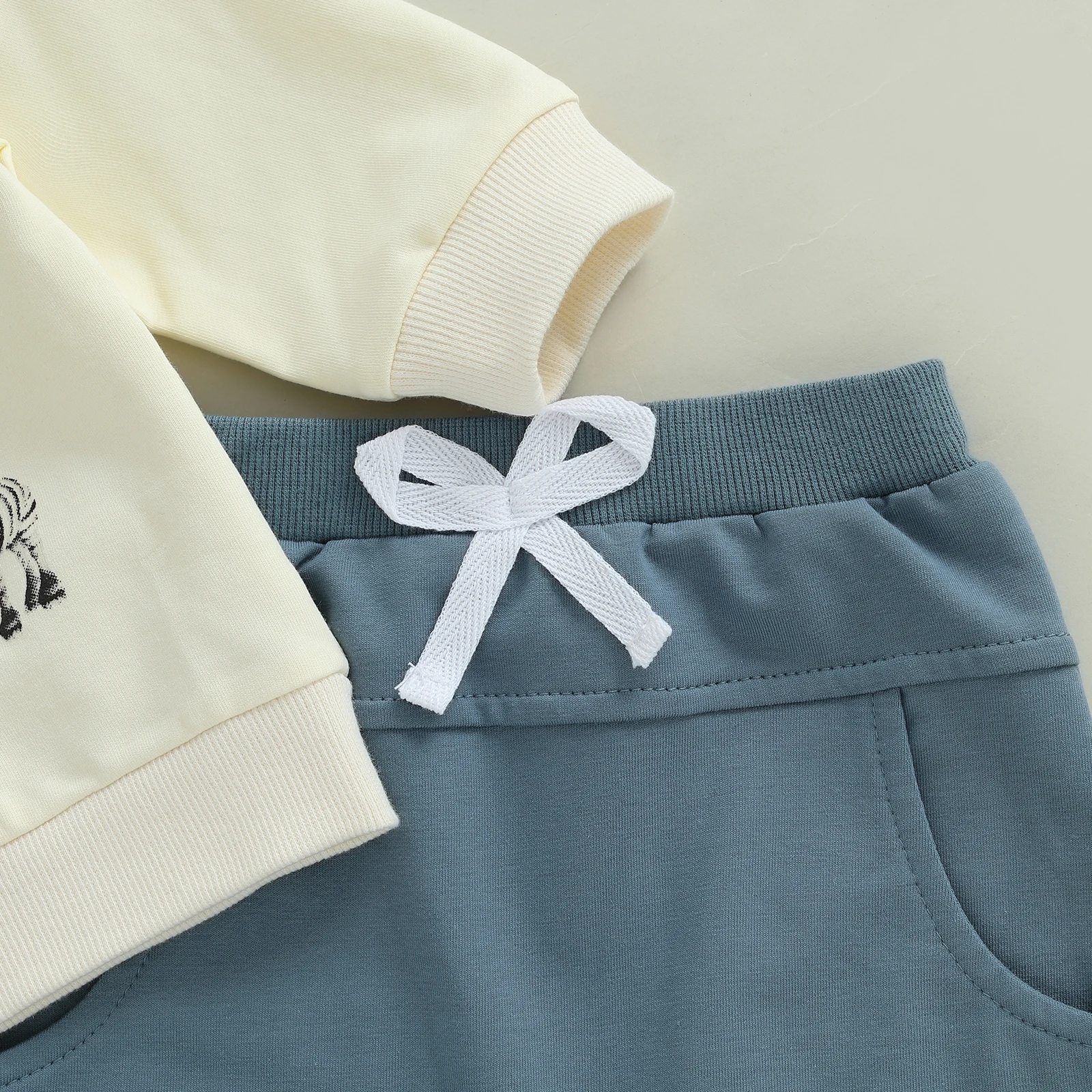 SUNSIOM Conjuntos de cumpleaños para bebés y niños, jersey con estampado de números de manga larga y pantalones de color sólido, conjunto de otoño de 2 piezas - imagen 5