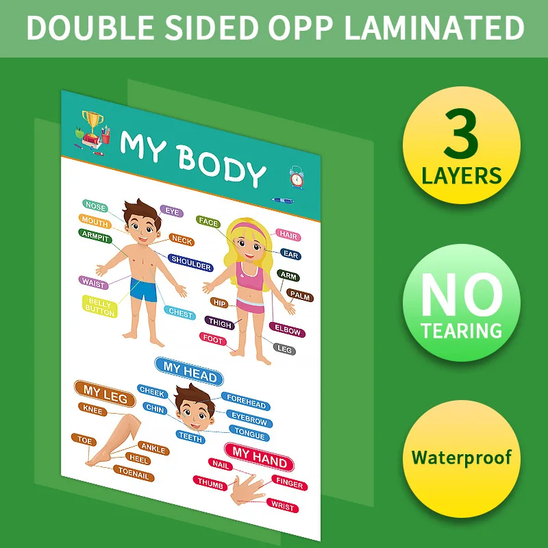 12Pcs Educational Posters Classroom Decor Toddlers, Preschool Learning Wall Art Teacher Supplies for Kids Ages 1-5 - imagen 5