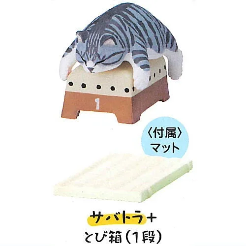 Saba tiger jump box