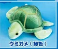 sea turtle