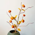 65cm