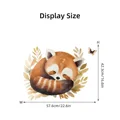 raccoon