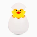 Duckling