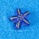 10pcs Purple Star