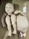 unpainted with belly