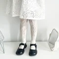 beige Camellia
