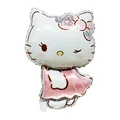 1pcs Hello Kitty-21
