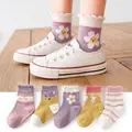 Chrysanthemum-5pairs