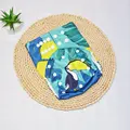 bird-cloth diaper