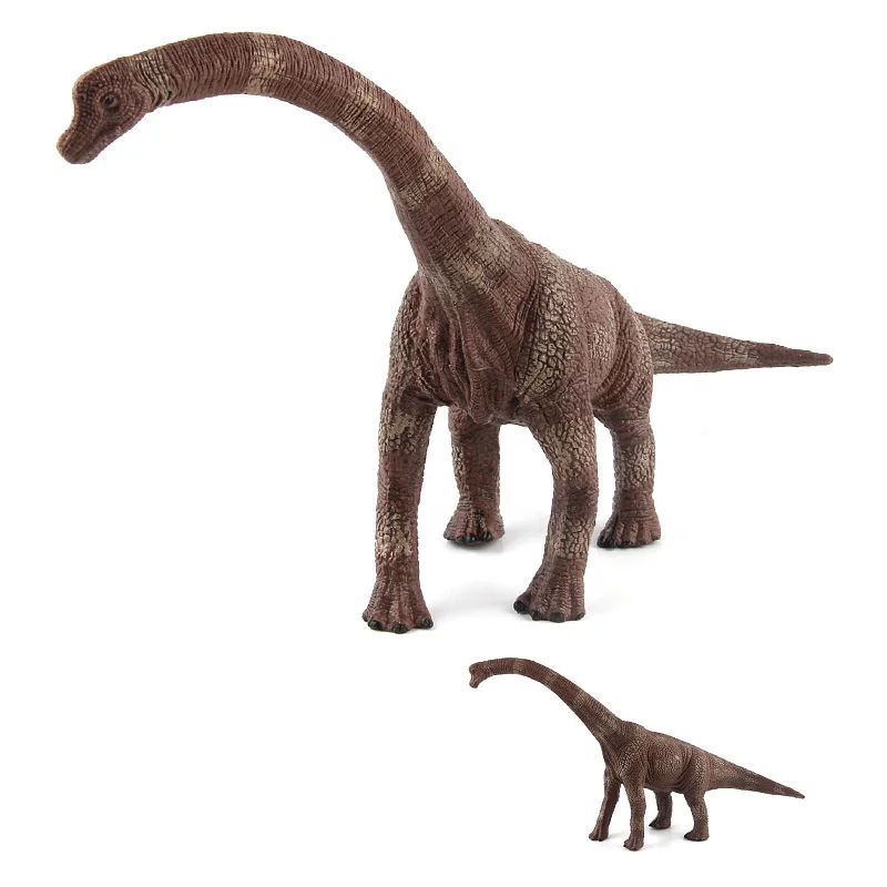 Brachiosaurus B