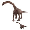 Brachiosaurus B