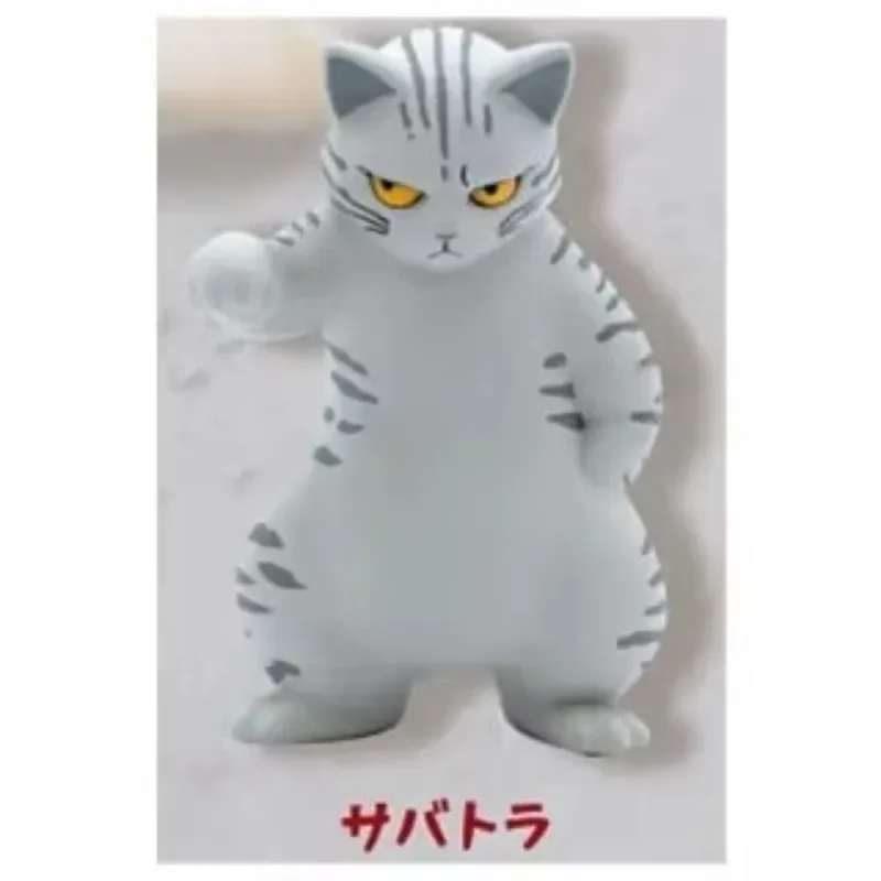tabby grey cat