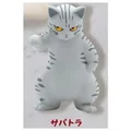 tabby grey cat