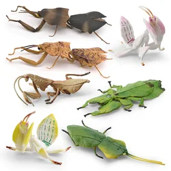 Mantis religiosa – Figuras realistas de insectos para niños