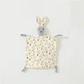 rabbit-17
