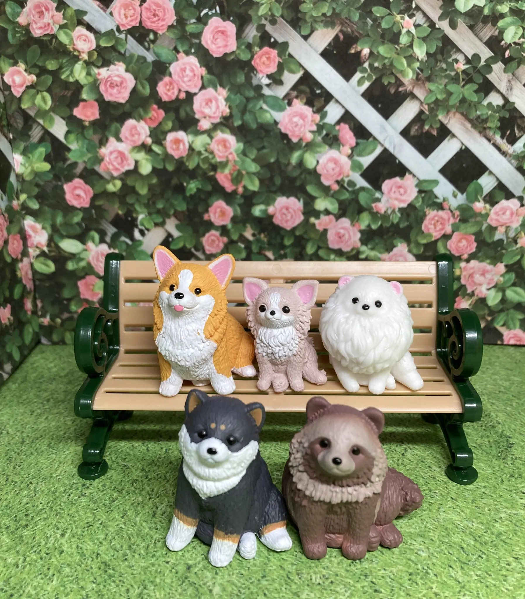 JUGAR Cápsula juguetes lindo Osuwari-nu Part.2 Perro sentado enganando juntos Chihuahua Pomerania Corgi galés Shiba Inu adornos - imagen 3