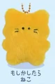Possibly cat