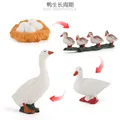 ZQ2415 4pcs